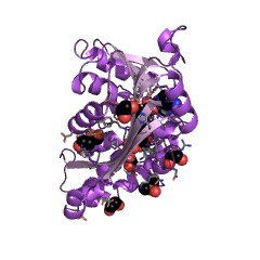 Example Structure of trans-aconitate 3-methyltransferase EC#: 2.1.1.145