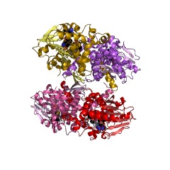 Example Structure of (iso)eugenol O-methyltransferase EC#: 2.1.1.146