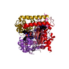 Example Structure of thymidylate synthase (FAD) EC#: 2.1.1.148