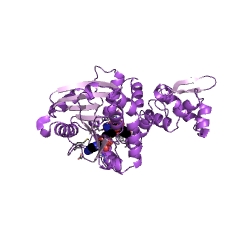 Example Structure of isoflavone 7-O-methyltransferase EC#: 2.1.1.150