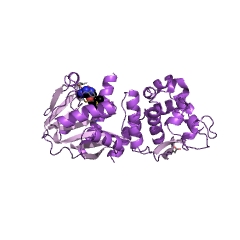 Example Structure of isoliquiritigenin 2'-O-methyltransferase EC#: 2.1.1.154