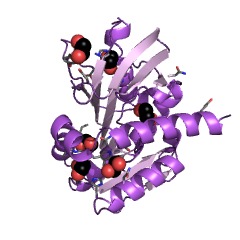 Example Structure of glycine/sarcosine N-methyltransferase EC#: 2.1.1.156