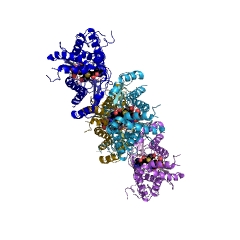 Example Structure of 7-methylxanthosine synthase EC#: 2.1.1.158