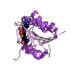 Example Structure of 23S rRNA (uridine2552-2'-O)-methyltransferase EC#: 2.1.1.166