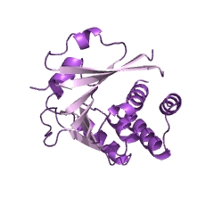 Example Structure of 16S rRNA (guanine527-N7)-methyltransferase EC#: 2.1.1.170