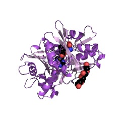 Example Structure of 23S rRNA (guanine1835-N2)-methyltransferase EC#: 2.1.1.174