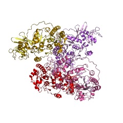 Example Structure of 16S rRNA (cytosine1407-C5)-methyltransferase EC#: 2.1.1.178