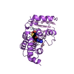 Example Structure of 16S rRNA (guanine1405-N7)-methyltransferase EC#: 2.1.1.179