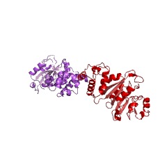Example Structure of 16S rRNA (adenine1518-N6/adenine1519-N6)-dimethyltransferase EC#: 2.1.1.182