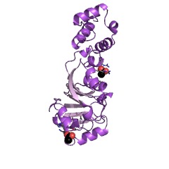 Example Structure of 23S rRNA (adenine2085-N6)-dimethyltransferase EC#: 2.1.1.184