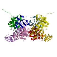 Example Structure of 23S rRNA (guanosine2251-2'-O)-methyltransferase EC#: 2.1.1.185