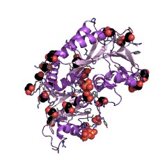 Example Structure of 23S rRNA (cytidine2498-2'-O)-methyltransferase EC#: 2.1.1.186