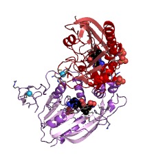 Example Structure of 23S rRNA (guanine745-N1)-methyltransferase EC#: 2.1.1.187