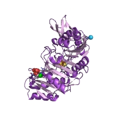Example Structure of 23S rRNA (uracil1939-C5)-methyltransferase EC#: 2.1.1.190