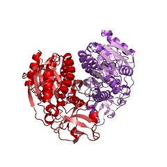 Example Structure of 23S rRNA (cytosine1962-C5)-methyltransferase EC#: 2.1.1.191