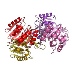 Example Structure of cobalt-precorrin-6B (C15)-methyltransferase [decarboxylating] EC#: 2.1.1.196