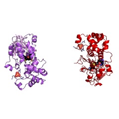 Example Structure of 16S rRNA (cytosine1402-N4)-methyltransferase EC#: 2.1.1.199