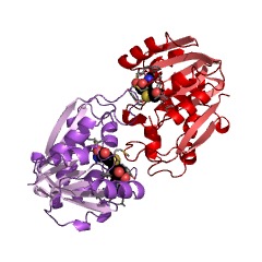 Beispielstruktur der Guanidinoacetat-N-Methyltransferase EC #: 2.1.1.2