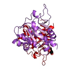 Example Structure of tRNA (cytidine32/uridine32-2'-O)-methyltransferase EC#: 2.1.1.200