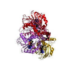 Example Structure of 2-methoxy-6-polyprenyl-1,4-benzoquinol methylase EC#: 2.1.1.201