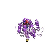 Example Structure of tRNA (cytosine38-C5)-methyltransferase EC#: 2.1.1.204