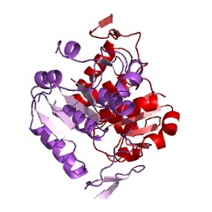 Example Structure of tRNA (cytidine56-2'-O)-methyltransferase EC#: 2.1.1.206