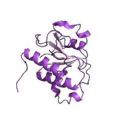 Example Structure of tRNA (cytidine34-2'-O)-methyltransferase EC#: 2.1.1.207