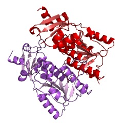 Example Structure of 23S rRNA (uridine2479-2'-O)-methyltransferase EC#: 2.1.1.208