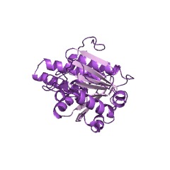 Example Structure of 23S rRNA (guanine2535-N1)-methyltransferase EC#: 2.1.1.209