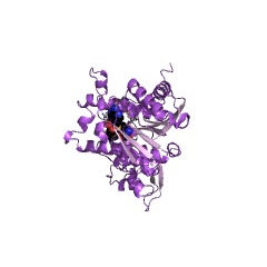 Example Structure of 2,7,4'-trihydroxyisoflavanone 4'-O-methyltransferase EC#: 2.1.1.212