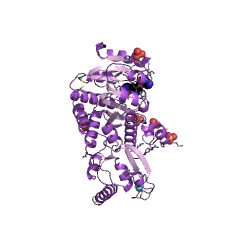 Example Structure of tRNA (guanine26-N2/guanine27-N2)-dimethyltransferase EC#: 2.1.1.215