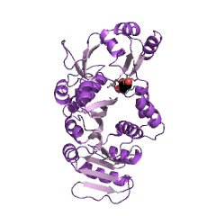 Example Structure of tRNA (guanine26-N2)-dimethyltransferase EC#: 2.1.1.216