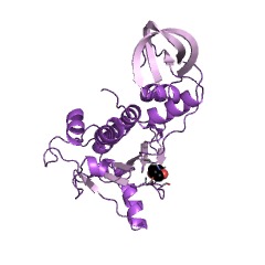Example Structure of tRNA (adenine9-N1)-methyltransferase EC#: 2.1.1.218