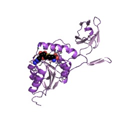 Example Structure of tRNA (adenine58-N1)-methyltransferase EC#: 2.1.1.220