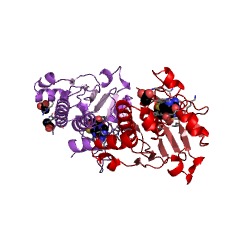 Example Structure of tRNA (guanine9-N1)-methyltransferase EC#: 2.1.1.221