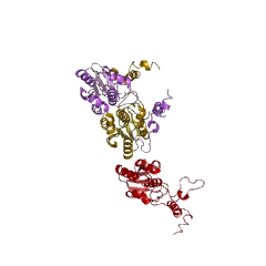 Example Structure of tRNA (guanine37-N1)-methyltransferase EC#: 2.1.1.228