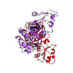 Example Structure of 23S rRNA (adenosine1067-2'-O)-methyltransferase EC#: 2.1.1.230