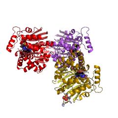 Example Structure of [phosphatase 2A protein]-leucine-carboxy methyltransferase EC#: 2.1.1.233