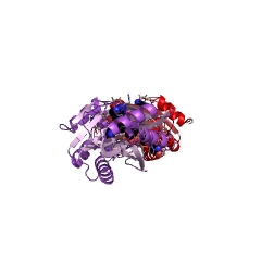 Example Structure of dTDP-3-amino-3,4,6-trideoxy-alpha-D-glucopyranose N,N-dimethyltransferase EC#: 2.1.1.234