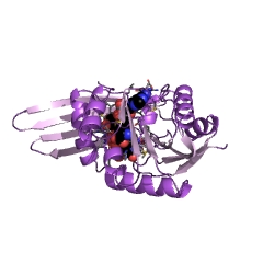 Example Structure of dTDP-3-amino-3,6-dideoxy-alpha-D-glucopyranose N,N-dimethyltransferase EC#: 2.1.1.235