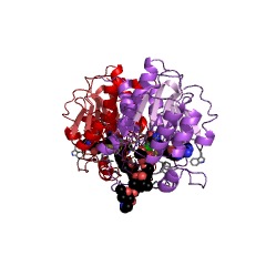 Example Structure of mycinamicin III 3''-O-methyltransferase EC#: 2.1.1.237