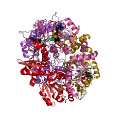 Example Structure of mycinamicin VI 2''-O-methyltransferase EC#: 2.1.1.238