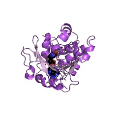 Example Structure of 16S rRNA (guanine1516-N2)-methyltransferase EC#: 2.1.1.242