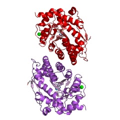 Example Structure of [methyl-Co(III) methylamine-specific corrinoid protein]:coenzyme M methyltransferase EC#: 2.1.1.247