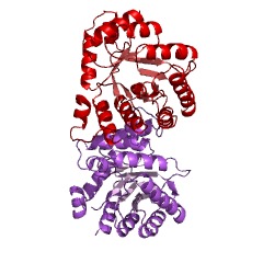 Example Structure of 5-methyltetrahydrofolate:corrinoid/iron-sulfur protein Co-methyltransferase EC#: 2.1.1.258