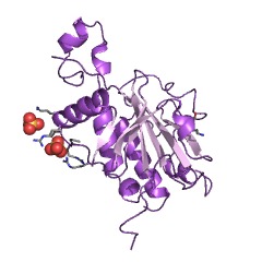 Example Structure of rRNA small subunit pseudouridine methyltransferase Nep1 EC#: 2.1.1.260