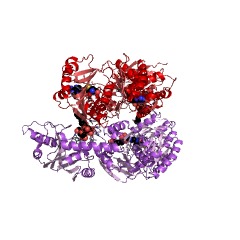 Example Structure of 23S rRNA (guanine2069-N7)-methyltransferase EC#: 2.1.1.264