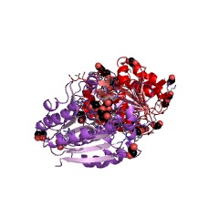 Example Structure of 23S rRNA (adenine2030-N6)-methyltransferase EC#: 2.1.1.266