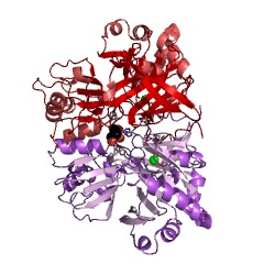Example Structure of dimethylsulfoniopropionate demethylase EC#: 2.1.1.269
