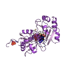 Example Structure of cobalt-precorrin-4 methyltransferase EC#: 2.1.1.271